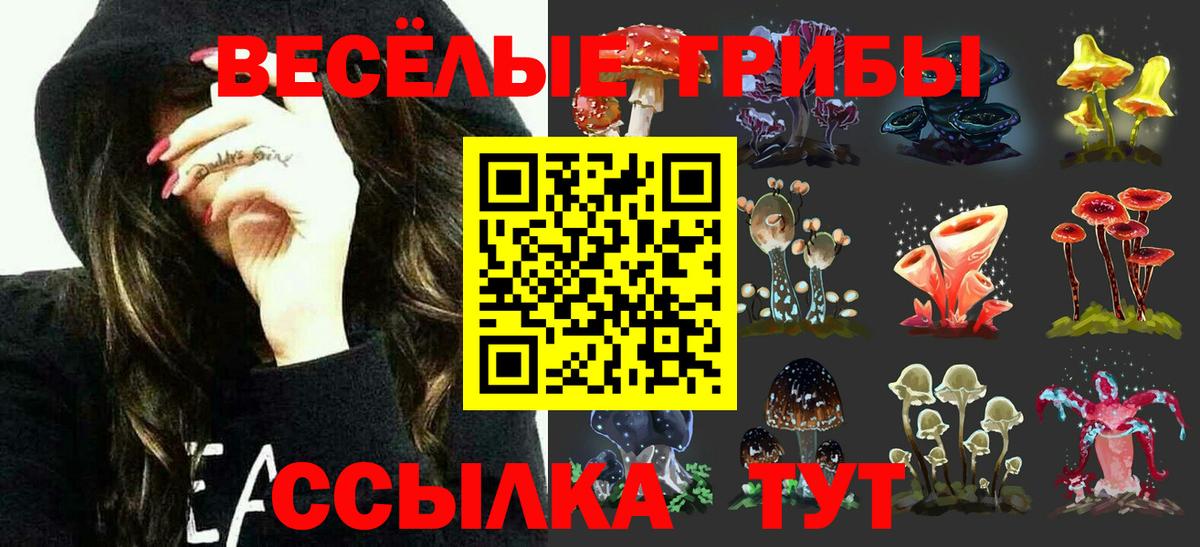 Сергиев Посад  Псилоцибиновые грибы прущие грибы  купить наркотик  Вход с VPN 